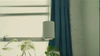 Illuminate Your Indoor Jungle