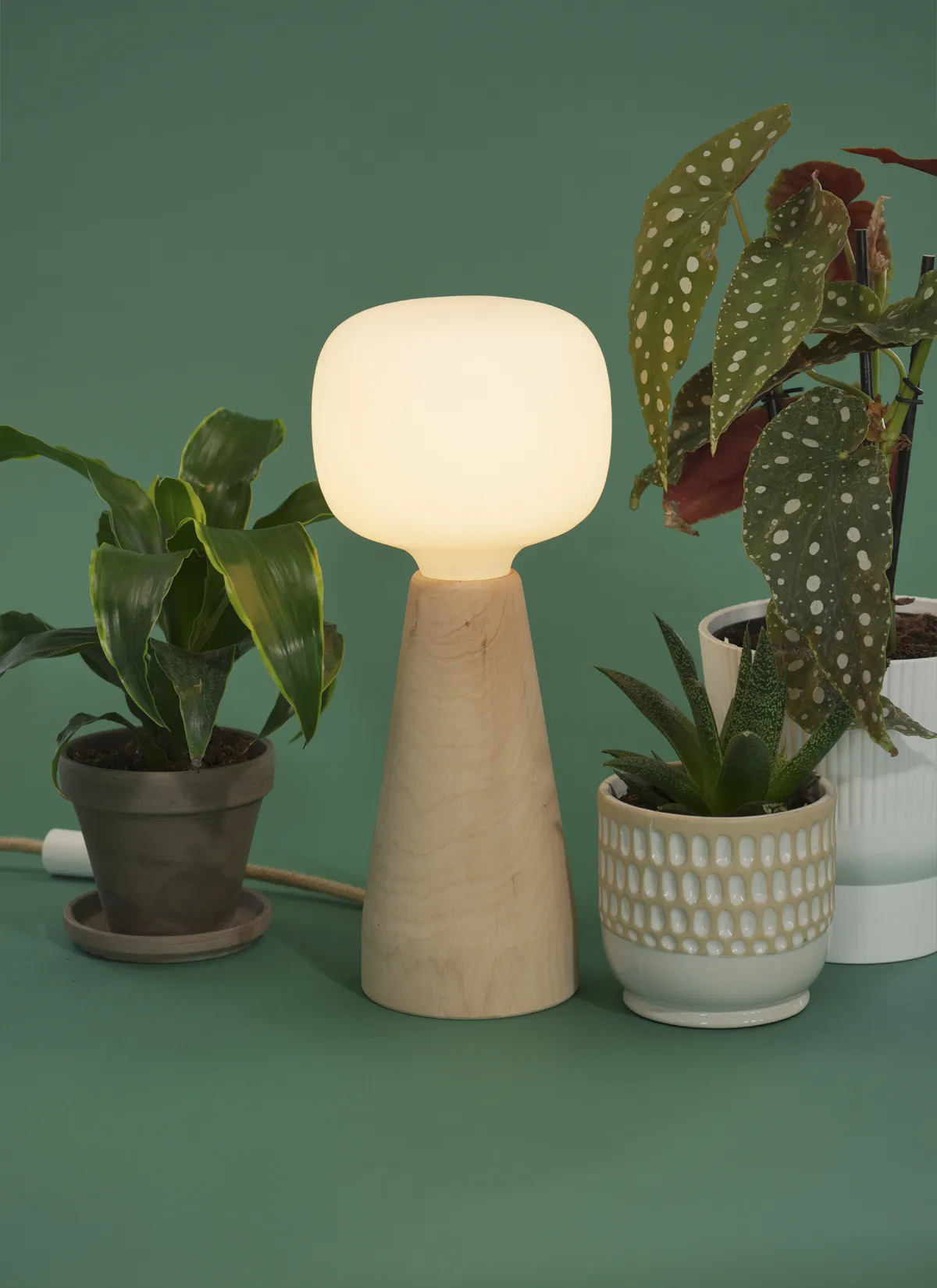 New Product Launches | Soltech's New Products and New Arrivals